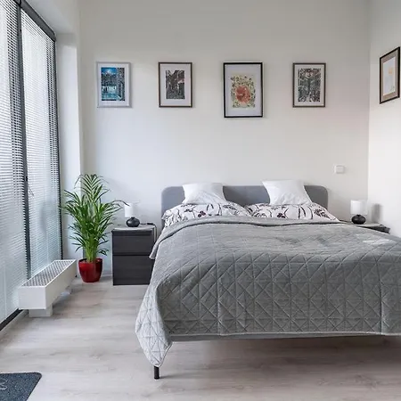 Apartamento Nové Sady Olomouc